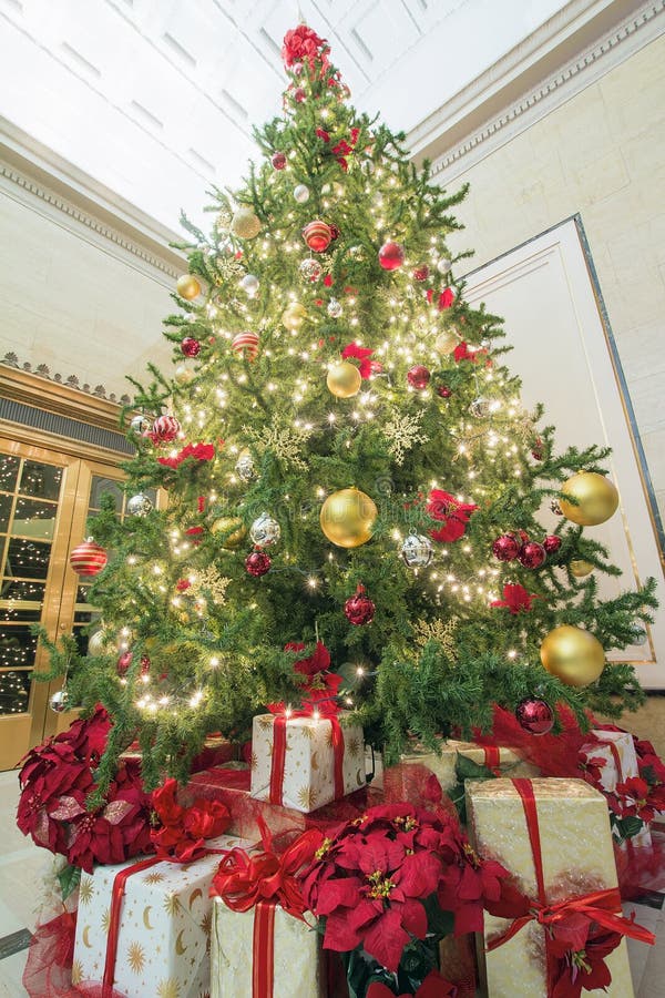 6,227 Christmas Tree Perspective Stock Photos - Free & Royalty-Free ...