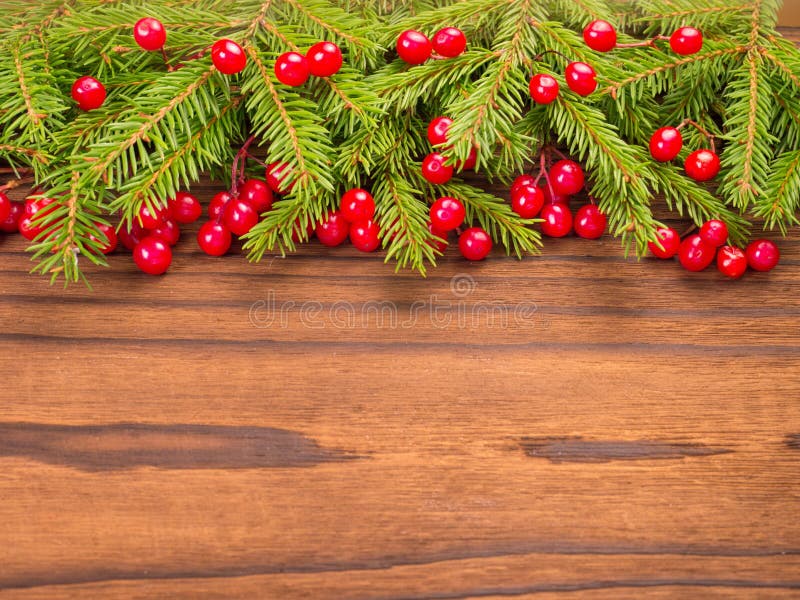 Christmas Tree and Red Berries on the Dark Background Stock Photo
