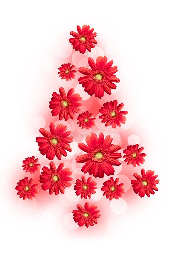 Christmas Tree with Red Daisy Flowers Stock Image Image of floral, feminine 45338967