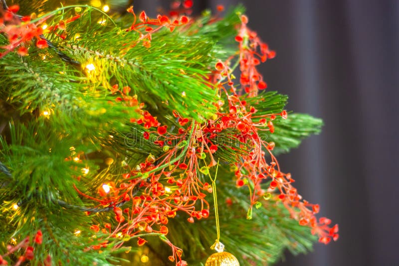 Christmas Tree with Red Garlands Stock Photo Image of merry, green