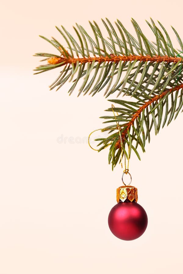 Christmas Tree and Red Glass Ball Stock Photo Image of festive, merry