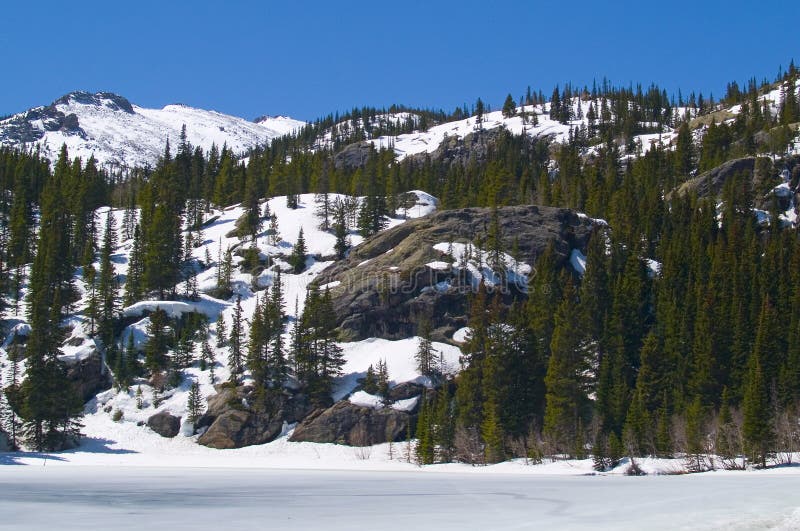 Christmas Tree Ridge Picture. Image 5500370