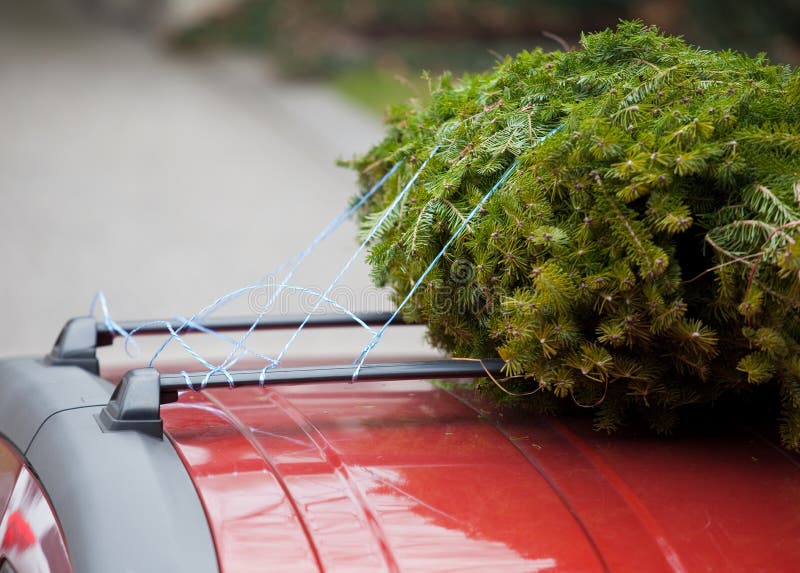 1,908 Christmas Tree Roof Car Stock Photos Free & RoyaltyFree Stock