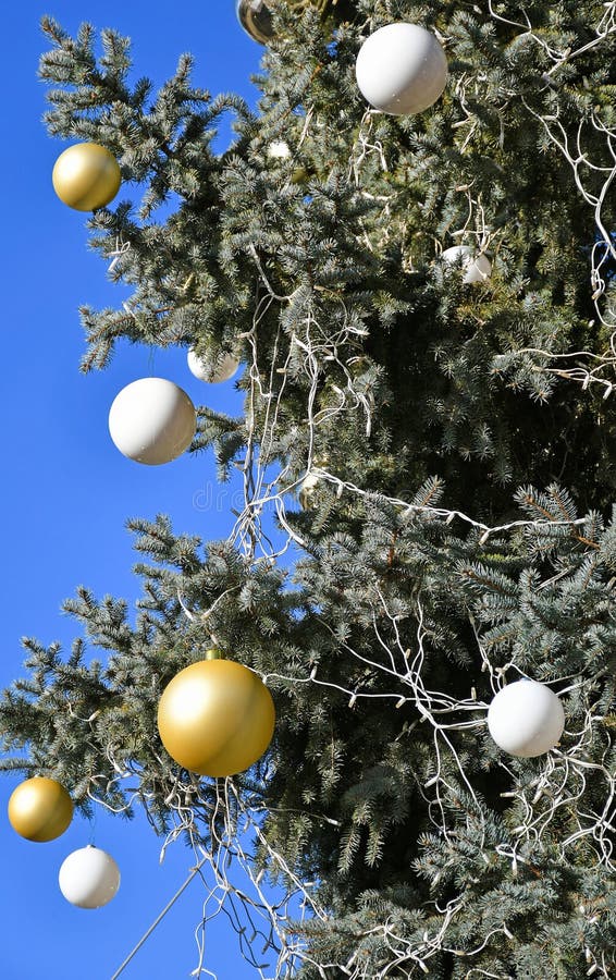 Christmas Tree with Sphere Ornaments Stock Image Image of gold, green