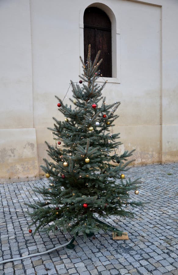 Christmas Tree in the Square. the Connection of the Decoration Lights