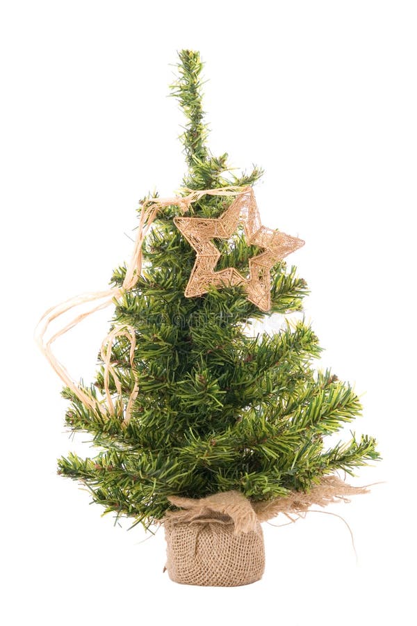 Christmas tree with star royalty free stock image