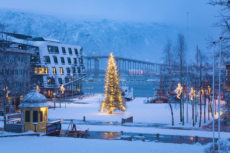 Christmas Tree in Tromso Norway, Tromso at Winter Time, Christmas in Tromso Stock Photo Image