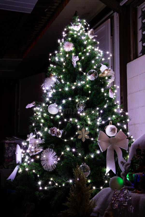 Christmas Tree with White Lights Stock Image Image of black, plant