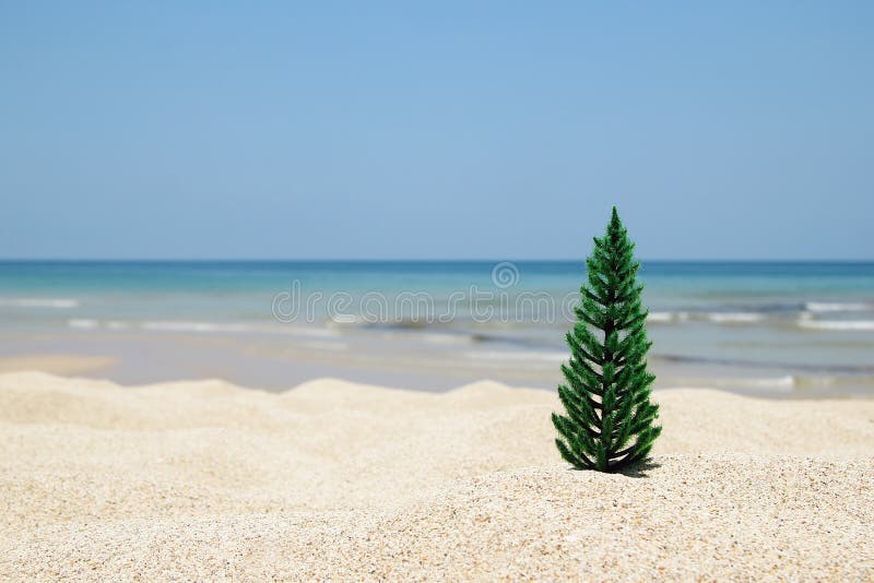 Christmas tree on the white sand beach on the background of blue sea and sky on a sunny day.