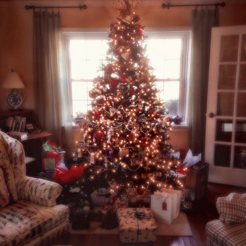 Vánoce strom na virginie.