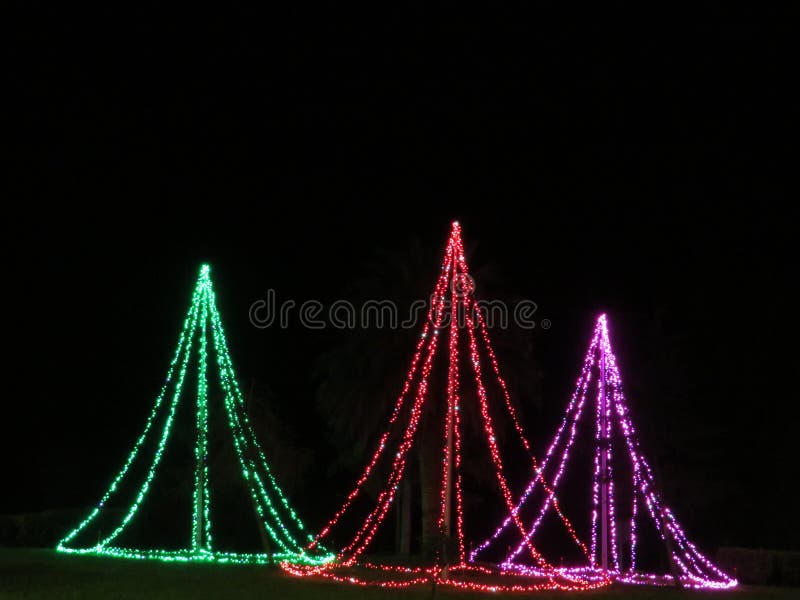 Christmas Trees Illuminated with Colored Bulbs Happiness Illusion Party