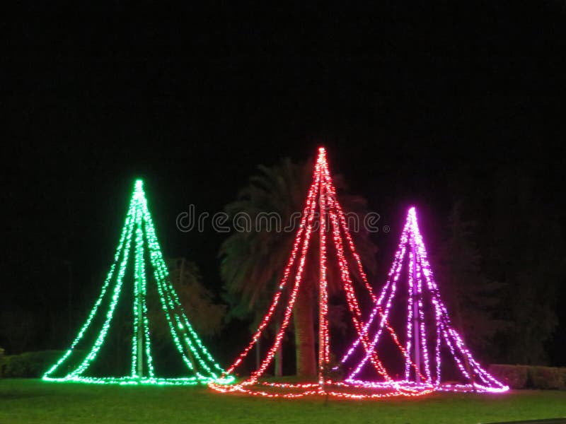 Christmas Trees Illuminated with Colored Bulbs Happiness Illusion Party