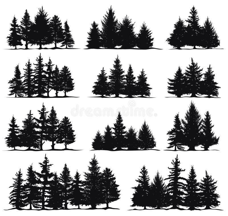 Christmas trees silhouettes. Spruce nature fir trees, coniferous forest evergreen pines isolated vector illustration set. Xmas pine trees silhouette. Christmas trees silhouettes. Spruce nature fir trees, coniferous forest evergreen pines isolated vector illustration set. Xmas pine trees silhouette