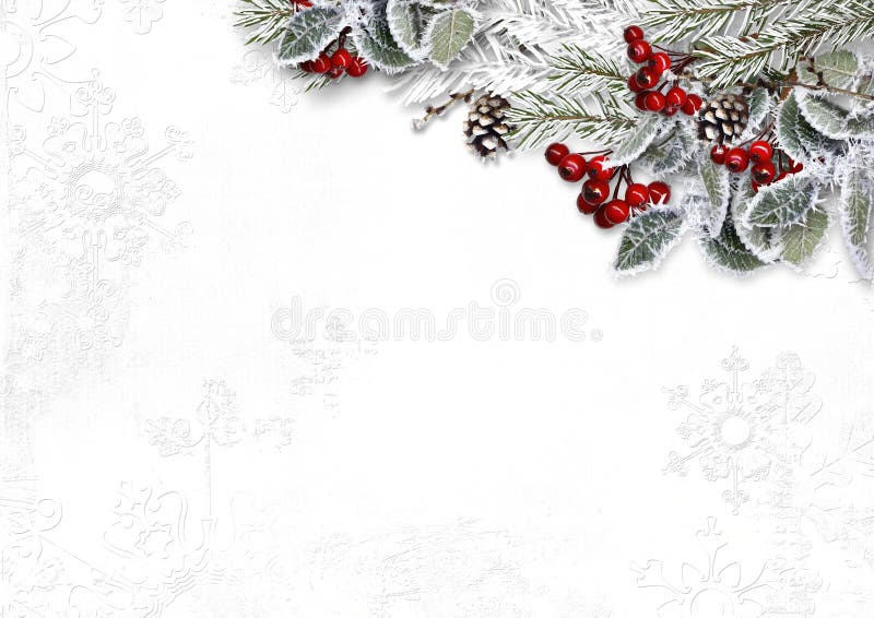 Christmas White Background with Decorations, Holly and Branches Stock ...