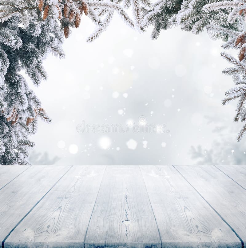 Inverno sfondo di Natale con abete ramo di albero con il coni.