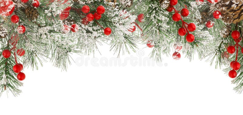 Christmas winter frame of green fir or spruce branches with snow, red berries and cones isolated on white background