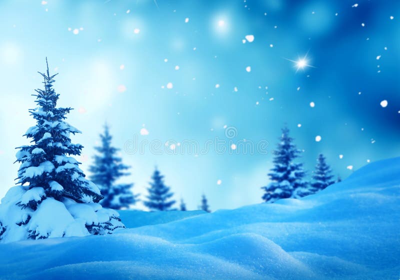 Christmas winter landscape with fir tree