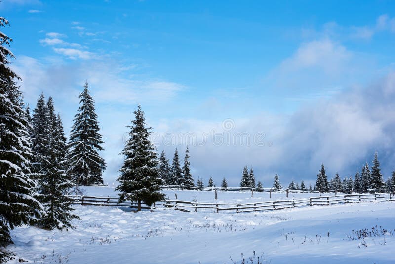 Christmas winter wonderland in the mountains with snow covered t