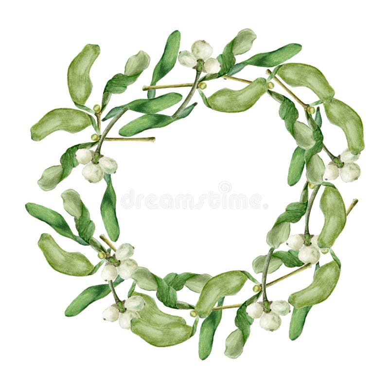 Winter Christmas Background Border Fir Mistletoe Stock Photo 209366257