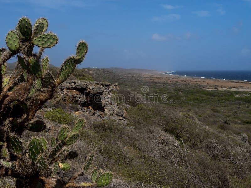 Nationaal Park Christoffel royalty-vrije stock afbeeldingen