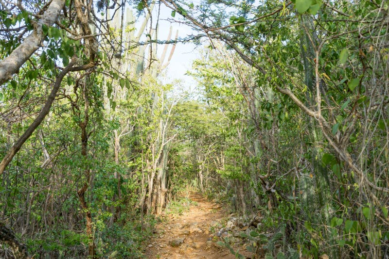 Christoffel National Park royalty-vrije stock afbeeldingen