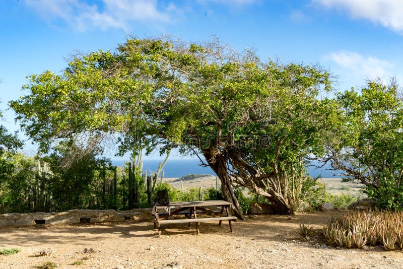 Nationaal Park Christoffel stock foto