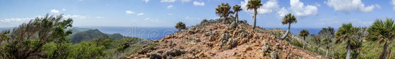 Christoffel nationalparkpalmträd - panorama arkivbilder Christoffel nationalparkpalmträd - panorama arkivbilder