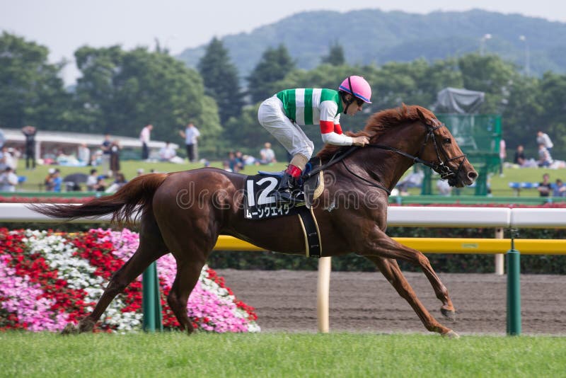 Christophe Lemaire with Moonquake winning the race at Tokyo Racecourse in Fuchu, Tokyo, Japan. Christophe Lemaire with Moonquake winning the race at Tokyo Racecourse in Fuchu, Tokyo, Japan.