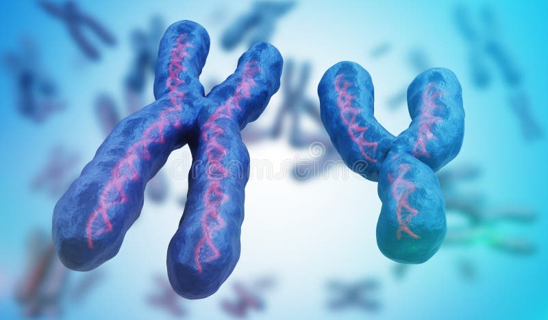 chromosomy x y Genetyki pojęcie ilustracja pozbawione 3 d