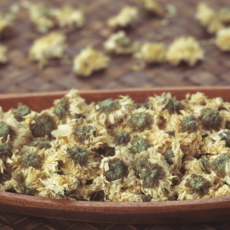 Chrysanthemum flower tea stock photo. Image of chinese 9861594