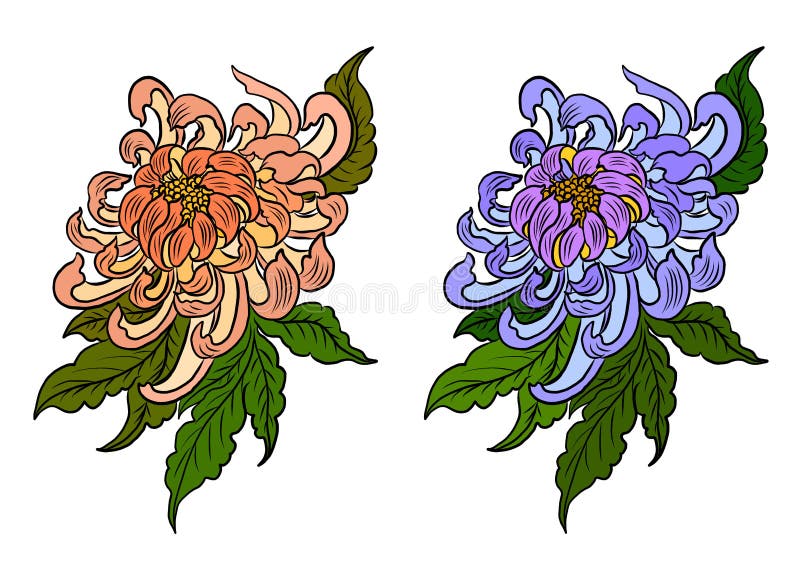 Chrysanthemum Art Stock Illustrations 12,310 Chrysanthemum Art Stock