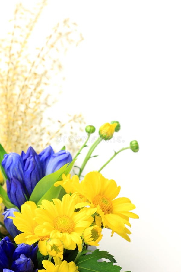 Chrysanthemum and pampas grass