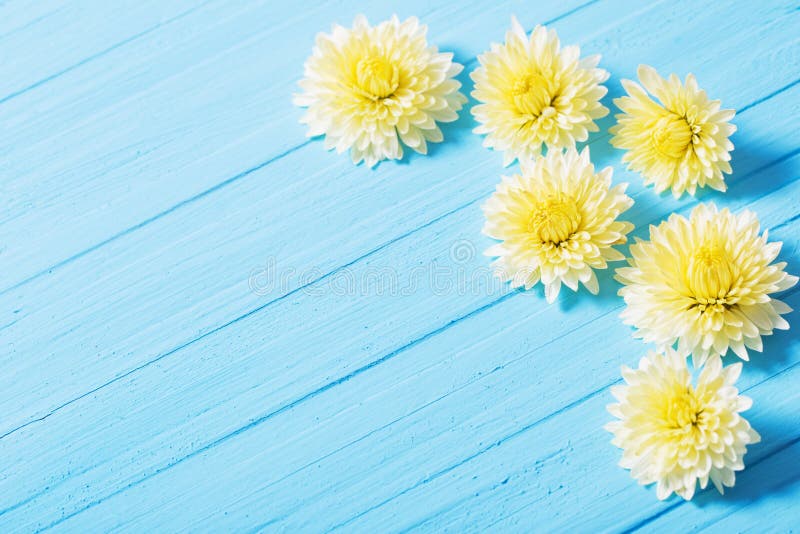 Chrysanthèmes jaunes sur le fond en bois photo libre de droits Chrysanthèmes jaunes sur le fond en bois photo libre de droits