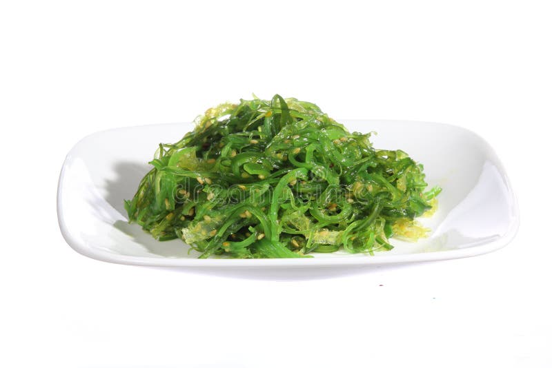 Chuka sallad. Havsväxt med sesamfrö i den keramiska plattan som isoleras på vit. Japansk kokkonst royaltyfria foton Chuka sallad. Havsväxt med sesamfrö i den keramiska plattan som isoleras på vit. Japansk kokkonst royaltyfria foton