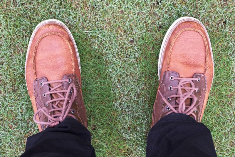 Feet on Grass. Family Picnic in Spring Park Stock Photo - Image of ...