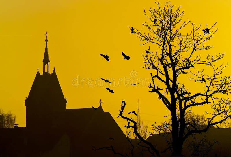 Church bird tree silhouettes