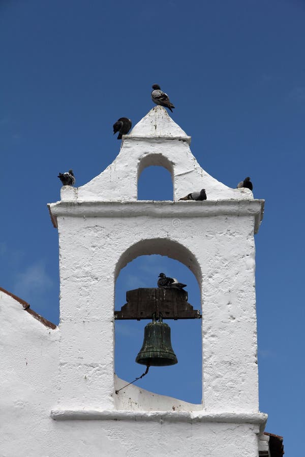 Church Pigeons