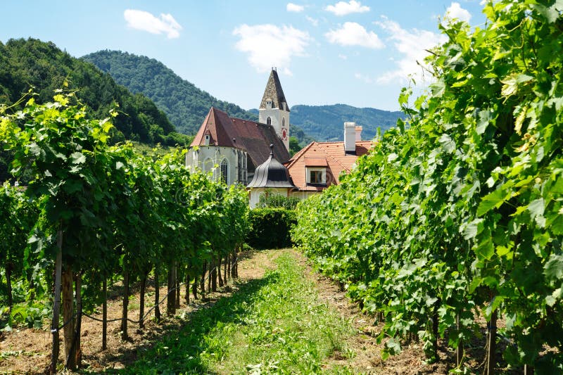 Church between Vine Branch