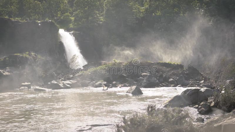 Chute d'eau verticale dans la haute falaise rocheuse dans la forêt. vue latérale. bruine. gouttes. mouvement lent banque de vidéos