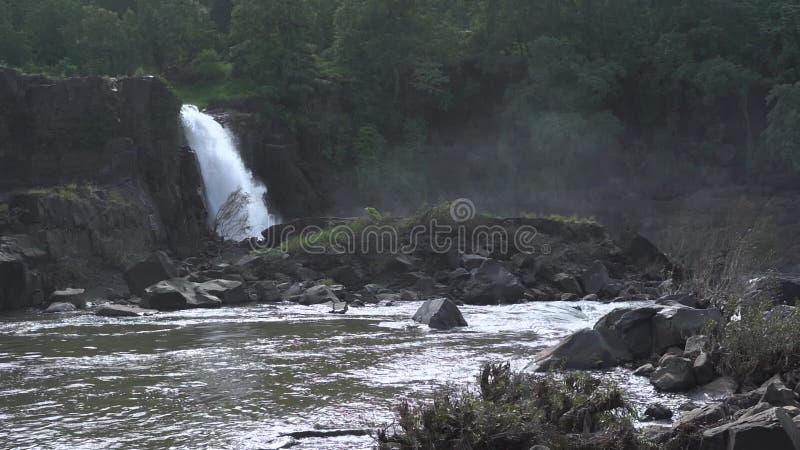 Chute d'eau verticale dans la haute falaise rocheuse dans la forêt. vue latérale. bruine. gouttes. mouvement lent clips vidéos