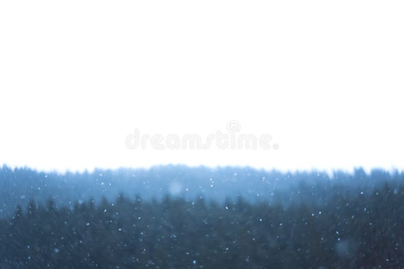 Chute de neige dans la scène d'hiver de forêt avec le fond blanc ci-dessus image stock Chute de neige dans la scène d'hiver de forêt avec le fond blanc ci-dessus image stock
