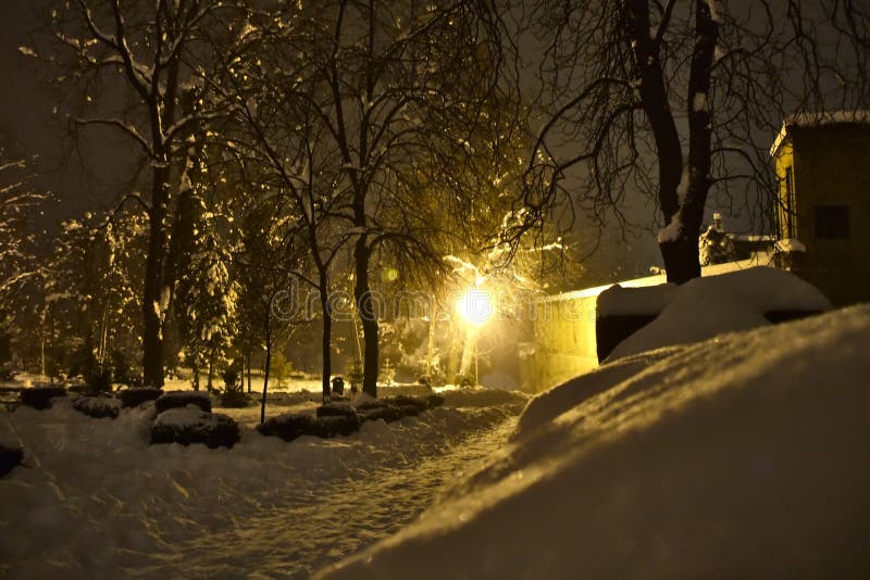 Chute de neige importante en parc avec la lumière de lampe image stock Chute de neige importante en parc avec la lumière de lampe image stock
