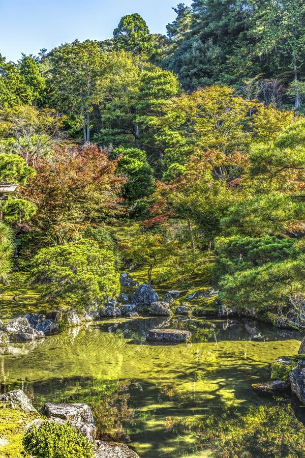 Chute feuilles jardin ginkakuji pavillon argent temple bouddhiste kyoto japon images stock