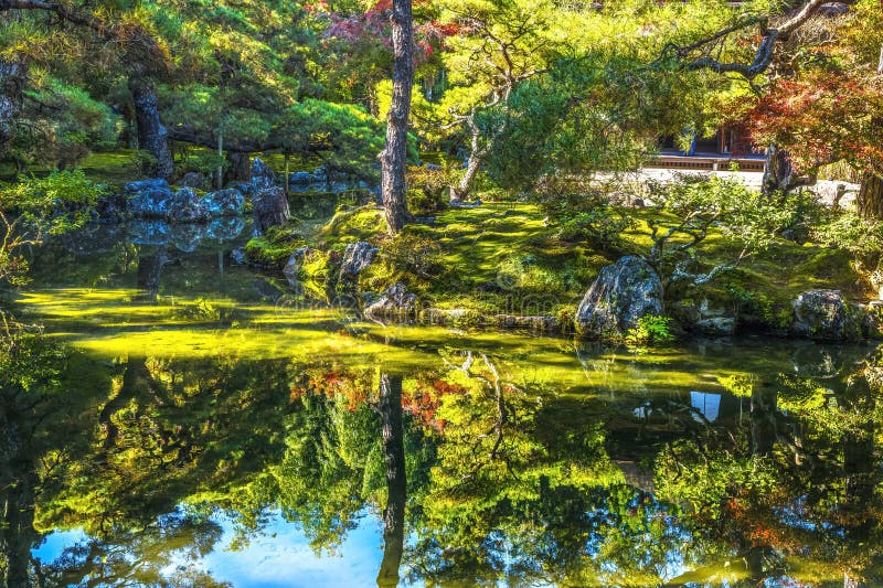Chute feuilles jardin ginkakuji pavillon argent temple bouddhiste kyoto japon photographie stock libre de droits