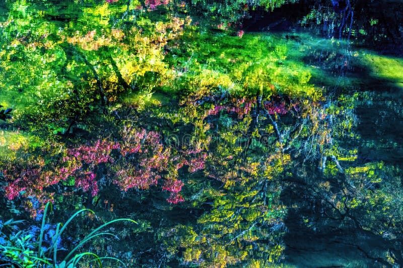Chute feuilles jardin réflexion abstraite ginkakuji temple argent kyoto japon images stock