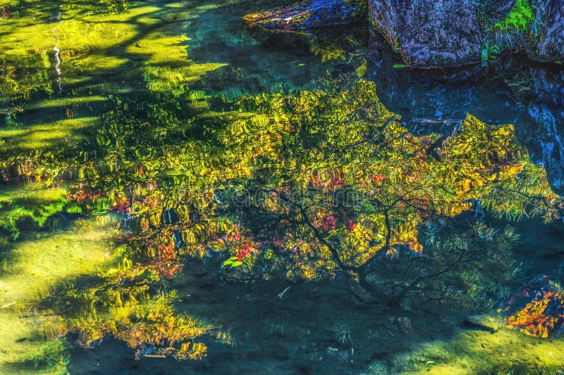 Chute feuilles jardin réflexion ginkakuji pavillon argent temple kyoto japon photo stock