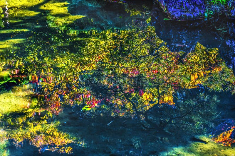Chute feuilles jardin réflexion ginkakuji pavillon argent temple kyoto japon images stock