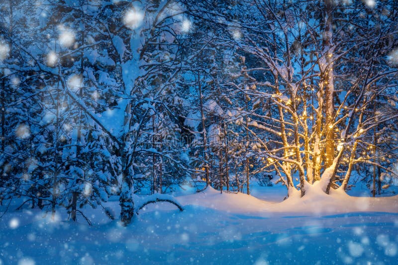 Chutes de neige et arbre avec les lumières chaudes de guirlande en hiver neigeux de nuit images libres de droits Chutes de neige et arbre avec les lumières chaudes de guirlande en hiver neigeux de nuit images libres de droits