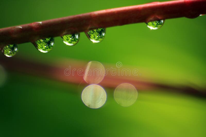 Gotas de chuva-04 fotografia de stock royalty free