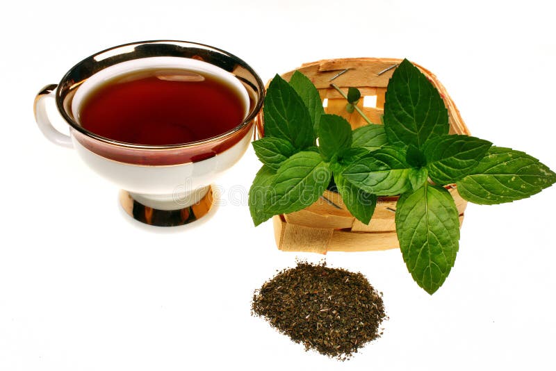 Chá do pulegium do mentha da hortelã imagens de stock Chá do pulegium do mentha da hortelã imagens de stock